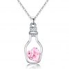 Collar Botella Corazon - N3CKKTTN140